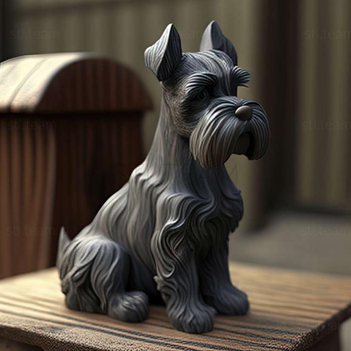 Zwergschnauzer dog